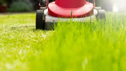 Çim biçmek için doğru zamanı biliyor musunuz? Bu saatte çim biçen kazanıyor!