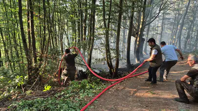 Düzce’de korkutan yangın: 10 dönüm alan alevlere teslim oldu
