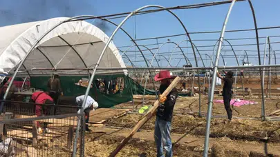 Kurban pazarı sona erdi: Besiciler zararla kapattı, çadırlar toplandı