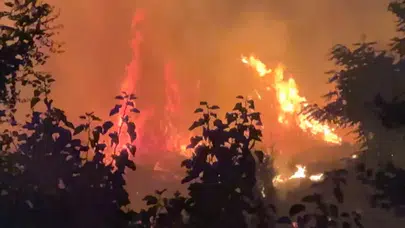 Kır düğünü kabusa döndü! Havai fişek yangına neden oldu