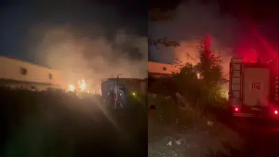 Sakarya'da feci yangın: Otluk alanda başladı, tün fabrikasına sıçradı