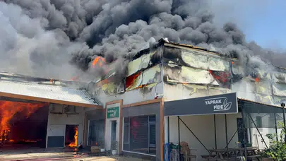 Antalya'da fide üretim merkezinde yangın paniği!
