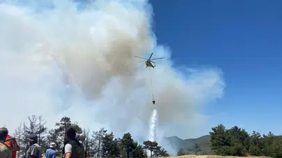 Sakarya'da orman yangını! Alevler yükseldi