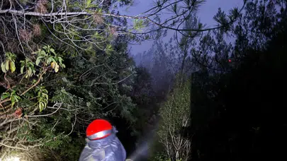 Adana'da orman yangını!