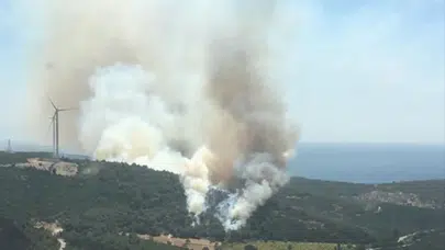 İzmir Seferihisar'da korkutan yangın: Ağaçlık alanda alevler yükseldi!