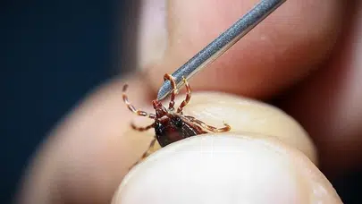 5 çocuk annesi kadın KKKA şüphesiyle hayatını kaybetti