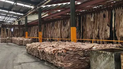 38 yıllık dev deri üreticisi konkordato ilan etti!