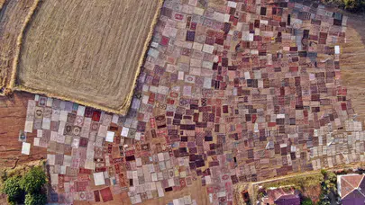 Bu tarlalarda buğday yerine halı seriliyor! Görenler şaşkınlıkla izliyor