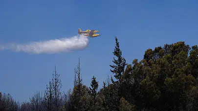 Orman yangınlarıyla ilgili soruşturmada 17 kişi gözaltında