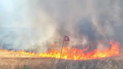 Edirne'de yangın: Römorktan tarım arazilerine sıçradı!
