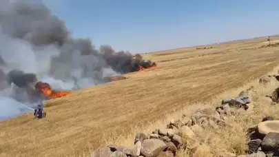 Şanlıurfa'da buğday tarlası kül oldu: 1'i ağır 5 yaralı