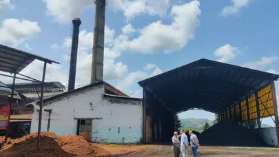 Çay bahçelerindeki tozun kaynağı tartışma yarattı: ÇAYKUR fabrikası inceleme altında!