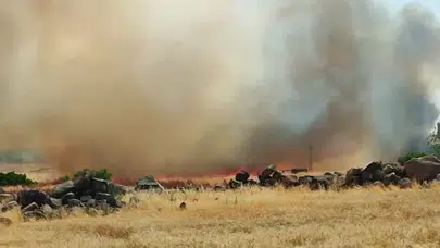 Şanlıurfa'da korkutan yangın: 50 dönümlük buğday ekili arazi alev alev yandı