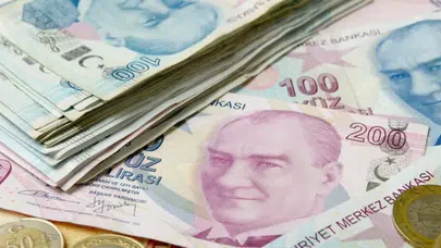E-Devlet'te adınıza para yatmış olabilir!
