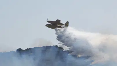 Orman yangınları ile ilgili 11 şüpheli gözaltına alındı