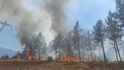 Karabük'teki yangında 10 dekarlık alan zarar gördü