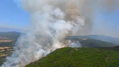Bursa'da orman yangını! Havadan ve karadan müdahale sürüyor
