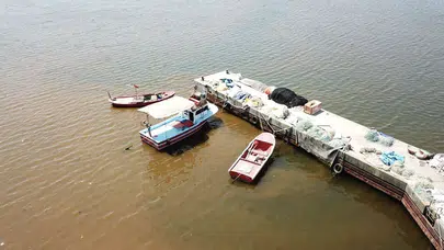 İzmit Körfezi kahverengiye büründü: Ekosistem alarm veriyor!