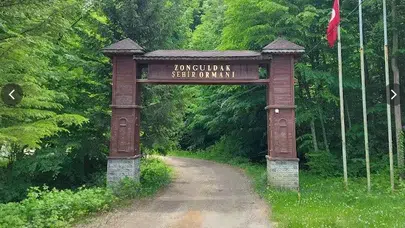 Zonguldak’ta ormanlara giriş yasaklandı!