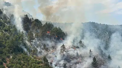 Adana’nın Feke ilçesinde orman yangını: Ekipler seferber edildi