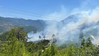 Alanya'da orman yangını: Ekiplerin müdahalesi sürüyor