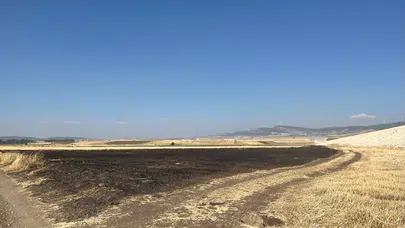 Gaziantep'te anız yaktı, 47 bin lira ceza yedi!