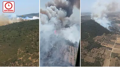 İzmir Foça'da orman yangını!
