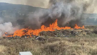 Çanakkale’de korkutan yangın!