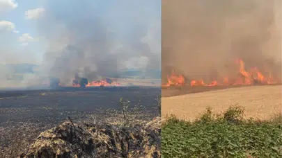 Çanakkale'de yangın: Tarım arazi alev alev yandı!
