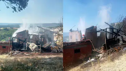 Sakarya'da korkutan yangın: Ev, ahır ve samanlık küle döndü!