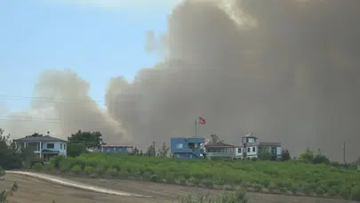 Adana'da orman yangını!