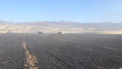 Elazığ'da 50 dönümlük buğday tarlası alevlere teslim oldu!