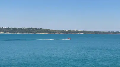 Adana'da yangın söndürme uçağı düştü!