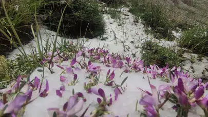 Haziran ayında kar sürprizi! Van’ın zirvesi beyaza büründü