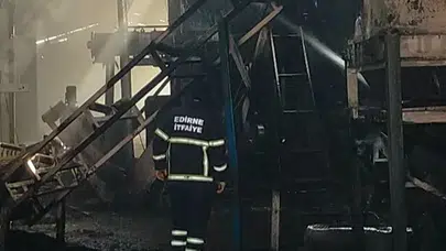 Edirne'de pelet fabrikasında feci yangın!