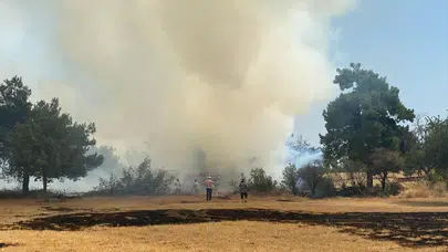 Çanakkale Ezine'de alevler kontrol altına alındı