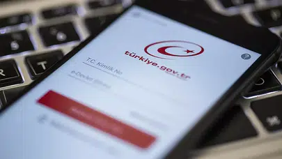 Paranız e-Devlet'te birikmiş olabilir! Süresi dolan paranız devlete gidiyor