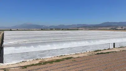 Denizli'de zehirlenme şüphesi: Serada çalışan 26 işçi hastaneye kaldırıldı