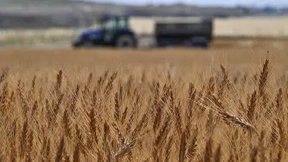 Türkiye’den tarımsal hasılada rekor