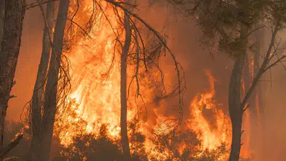 İzmir’deki orman yangını, havadan ve karadan müdahaleyle kontrol altına alındı