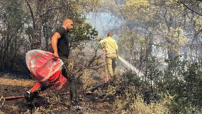 Balıkesir'in 3 ilçesi alevlere teslim oldu!