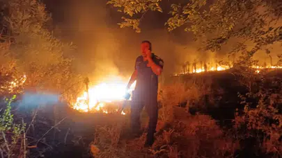 Bursa'da çıkan yangın 20 dönüm ormanı küle çevirdi