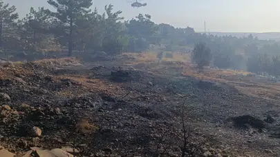 Mersin Silifke’de orman yangını kontrol altına alındı mı?