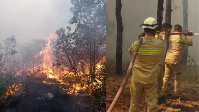 Yangında şehit olan AKUT ekibinin son görüntüsü ortaya çıktı