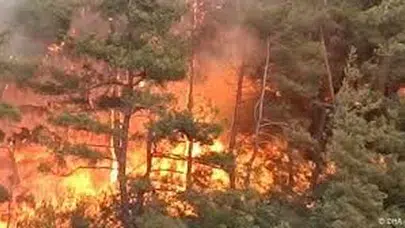 Skandal sebeple çıkan yangında 5 dönüm orman kül oldu!