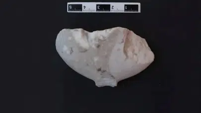 Tarihi baştan yazacak keşif! Bilecik'te Göbeklitepe'den daha eski figür bulundu