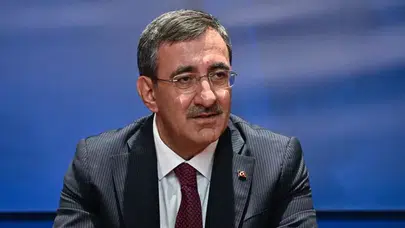 Cumhurbaşkanı Yardımcısı Yılmaz'dan orman yangınlarına ilişkin açıklama