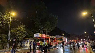 Beykoz'da ormanlık alanda yangın çıktı