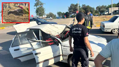 Antalya'da ilginç kaza! Başıboş at otomobilin önüne çıktı: 3 kişi yaralandı