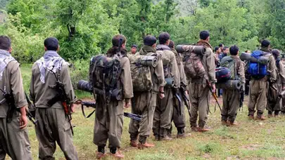 DEM Parti tarih verdi: PKK, Süleymaniye'de silah bırakacak